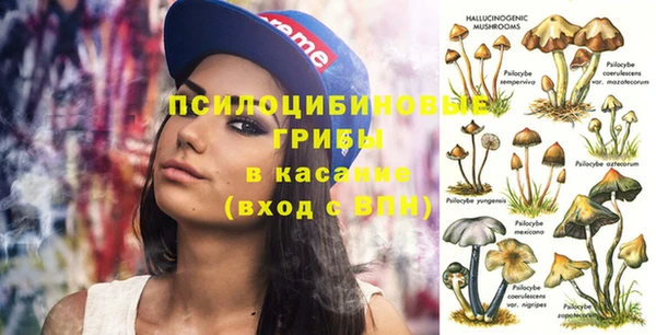 таблы Белокуриха